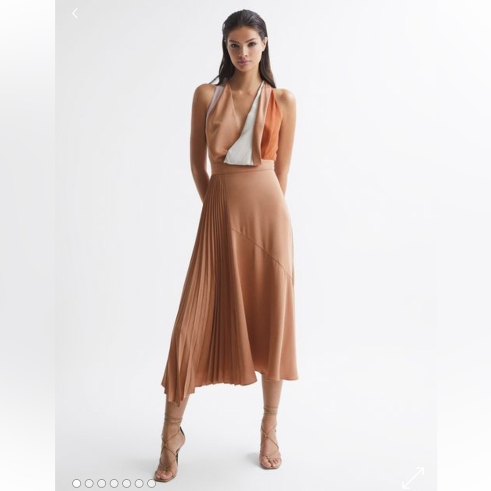 NWT Reiss Anise Colorblock MIDI Dress (4)